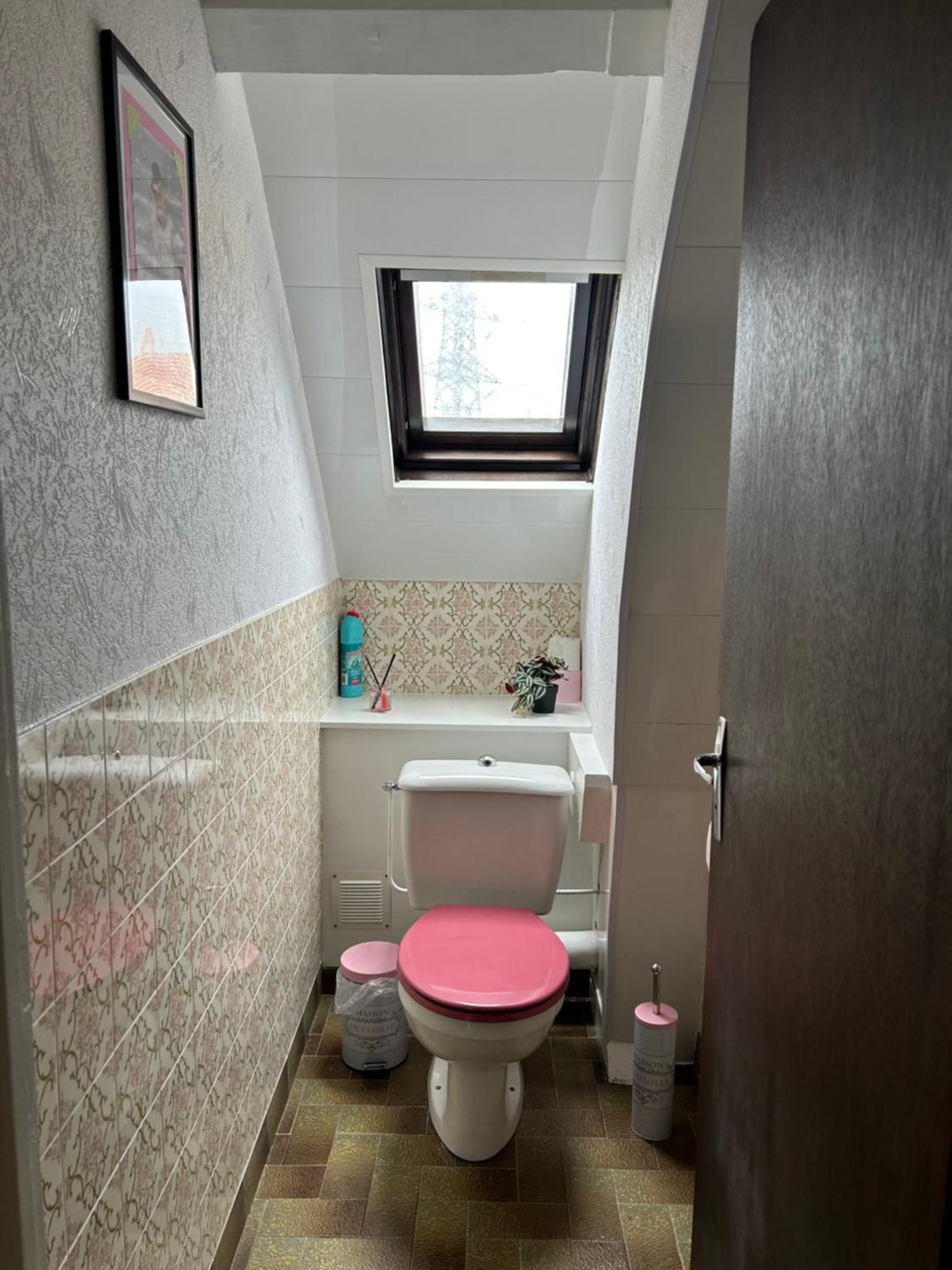 Gite La Maison Rose 拉内默藏 外观 照片